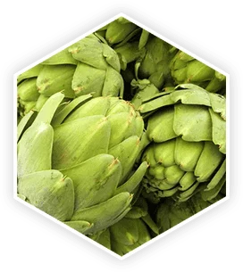 ProstaVive Artichoke 