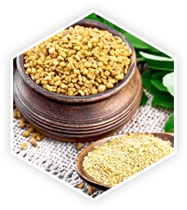 ProstaVive Fenugreek 