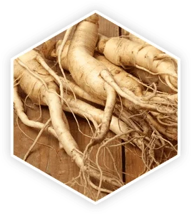 ProstaVive Panax Ginseng